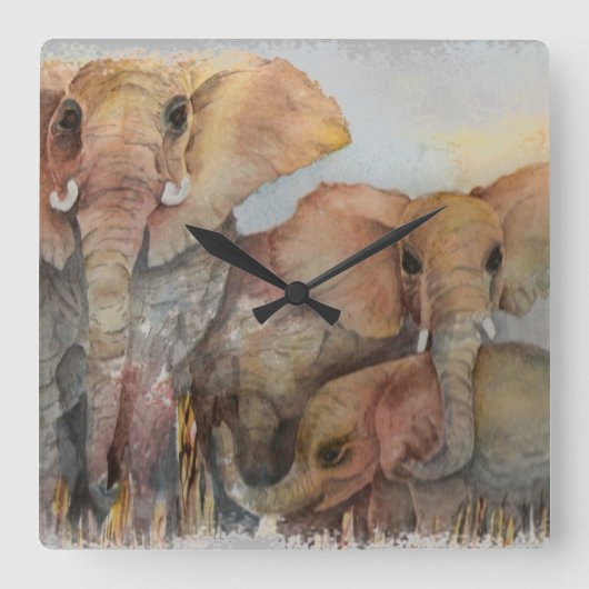 ゾウ科 スクエア壁時計 (正面)