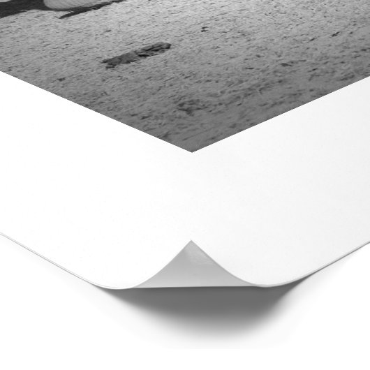 ゾウ科 ポスター (角)