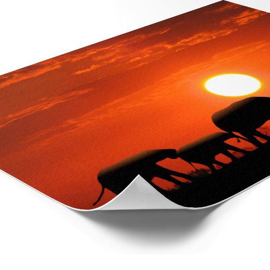 ゾウ科 ポスター (角)