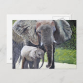 ゾウ科 ポストカード (正面/裏面)