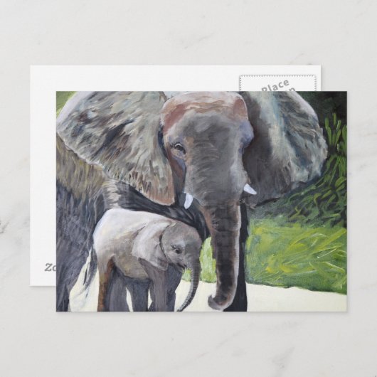 ゾウ科 ポストカード (正面/裏面)