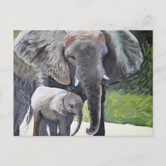 ゾウ科 ポストカード (正面)