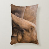 ゾウ科:野生動物威厳のある科 アクセントクッション (正面(垂直))