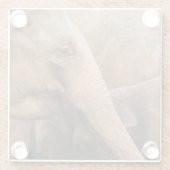 ゾウ科:野生動物威厳のある科 ガラスコースター (裏面)