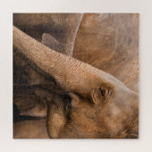 ゾウ科：野生動物威厳のある科 ジグソーパズル (横)