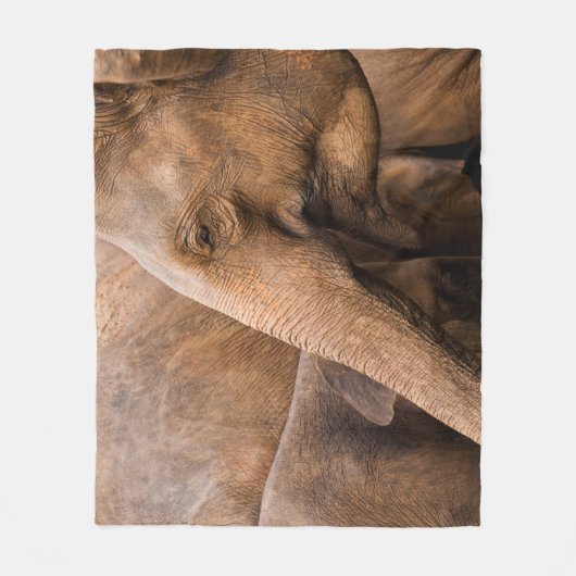 ゾウ科:野生動物威厳のある科 フリースブランケット (正面)