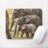 ゾウ科/Wベビー愛情家 マウスパッド (マウス)