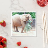 ゾウ紙ナプキン スタンダードカクテルナプキン (インサイチュ)