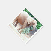 ゾウ紙ナプキン スタンダードカクテルナプキン (角)