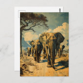 ゾウ群ヴィンテージ ポストカード (正面/裏面)