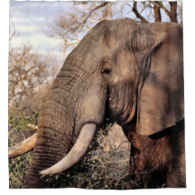 ゾウ野生動物シャワーカーテン