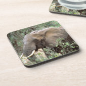 ゾウ飲料コースター コースター (左側)