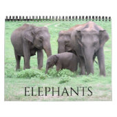 ゾウ2025 カレンダー (カバー)