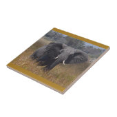 ゾウ・アウェア、ケニア。セラミックタイル タイル (側面)