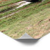 ゾウ・アンボセリ ポスター (角)