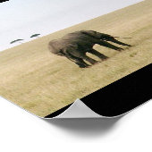 ゾウ・オン・ザ・マラ ポスター (角)