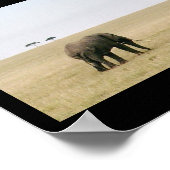 ゾウ・オン・ザ・マラ ポスター (角)