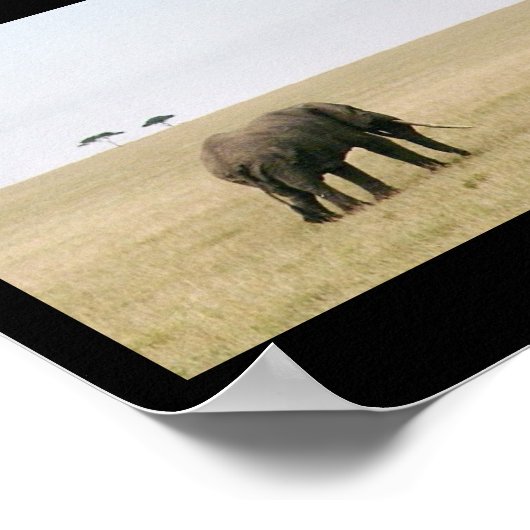 ゾウ・オン・ザ・マラ ポスター (角)