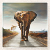 ゾウ ガラスコースター (正面)