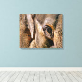 ゾウ キャンバスプリント (インサイチュ (ウッドフロア))