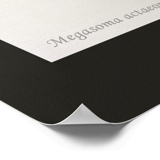 ゾウ・ビートル ポスター (角)