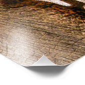 ゾウ フォトプリント            (角)