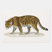 ゾウ、ラクダ、レオパードby D'Orbigny ラッピングペーパーシート (正面3)