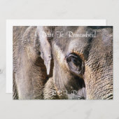 ゾウ 招待状 (正面/裏面)