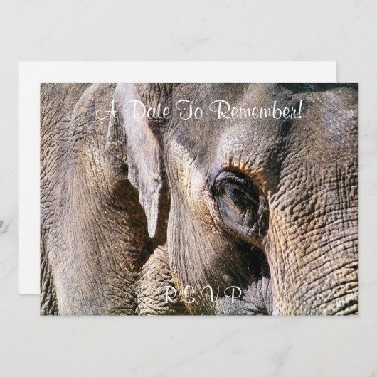 ゾウ 招待状 (正面/裏面)