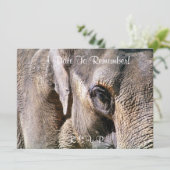 ゾウ 招待状 (スタンド正面)