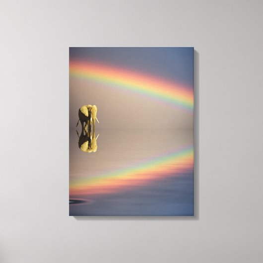 ゾウ、水と虹(ケニア) キャンバスプリント (正面)