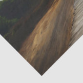 ゾウ 薄葉紙 (詳細)