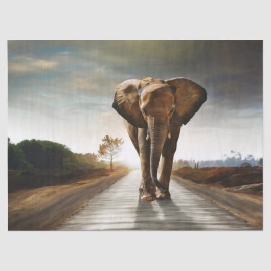 ゾウ 薄葉紙 (正面)