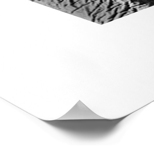 ゾウ#1 ポスター (角)