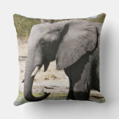 ゾウ(Loxodonta africana)、サヴートチャンネル クッション (裏面)