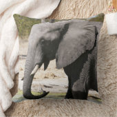 ゾウ(Loxodonta africana)、サヴートチャンネル クッション (ブランケット)