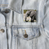 ゾウ(Loxodonta africana)、サヴートチャンネル 缶バッジ (インサイチュ)