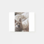 ゾエとヨダ ポストイット (正面)