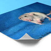 ゾエ ポスター (角)