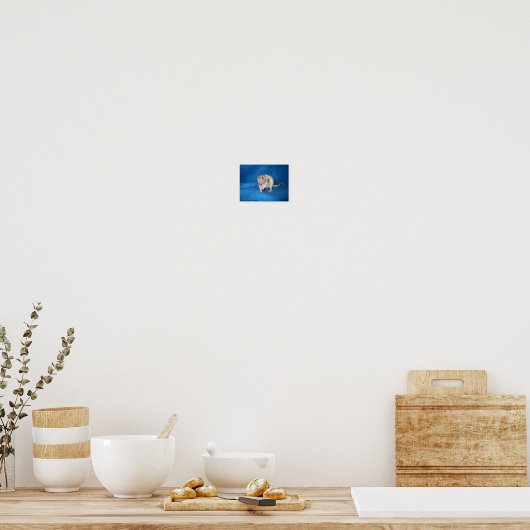 ゾエ ポスター (キッチン)