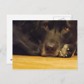 ゾエ ポストカード (正面/裏面)