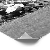 ゾミエラグビースクラム ポスター (角)