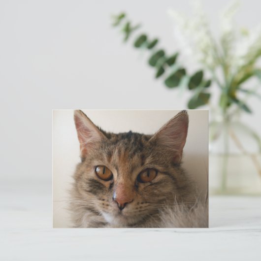 ゾラ ポストカード (スタンド正面)