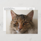 ゾラ ポストカード (正面/裏面)