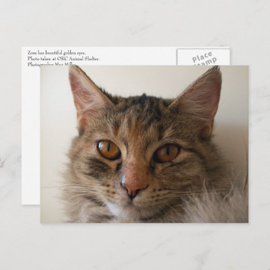 ゾラ ポストカード (正面/裏面)