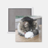 ゾロシャイ子猫スクエアマグネット マグネット (正面/裏面)