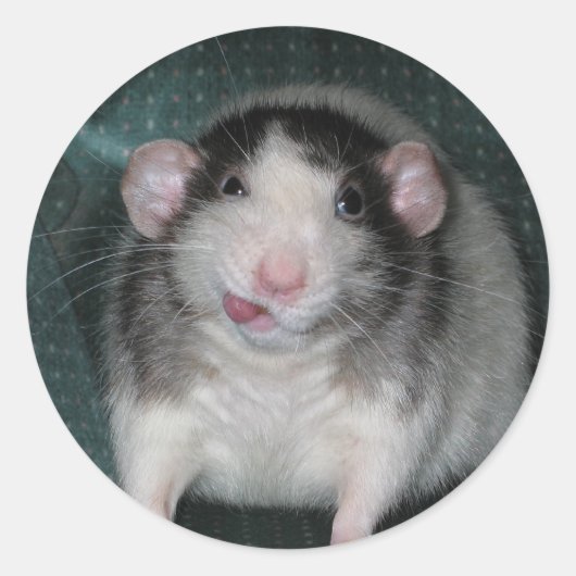 ゾロ ラウンドシール (正面)