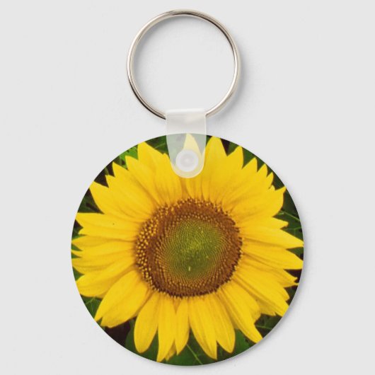 ゾンネブロム キーホルダー (正面)