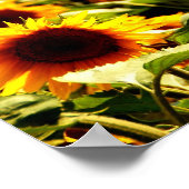 ゾンネンブルーメンフェルト ポスター (角)