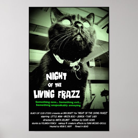 ゾンビキャットホラー映画のポスター、グリーン、カスタムサイズ ポスター (正面)